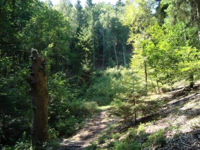 post-5095-0-26233200-1406473396_thumb.jp