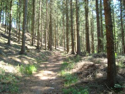 post-5095-0-27971000-1406473425_thumb.jp