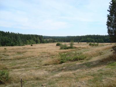 post-5095-0-65255300-1406473752_thumb.jp