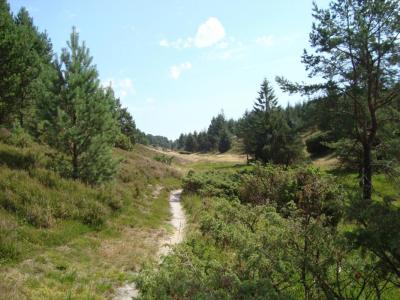 post-5095-0-67039800-1406473403_thumb.jp