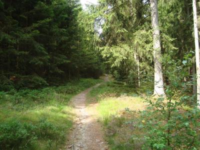 post-5095-0-87248100-1406473428_thumb.jp