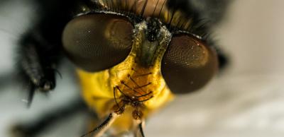 post-7957-0-67310900-1404339797_thumb.jp