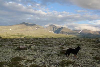 post-8184-0-24738700-1405702105_thumb.jp