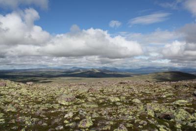 post-8184-0-44794800-1405702369_thumb.jp