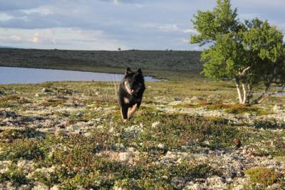 post-8184-0-69500000-1405702063_thumb.jp