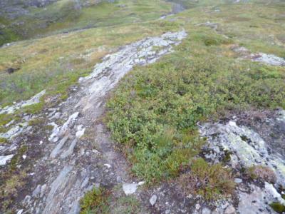 post-8499-0-12968800-1405435814_thumb.jp