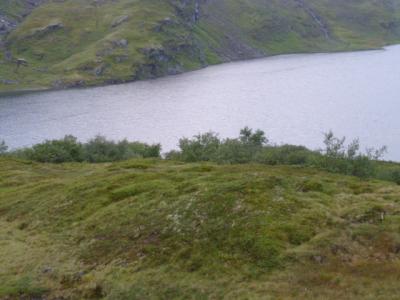 post-8499-0-18652800-1405435822_thumb.jp