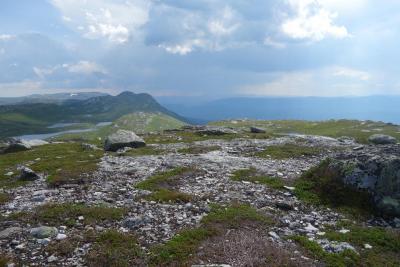 post-9055-0-32375500-1406460584_thumb.jp