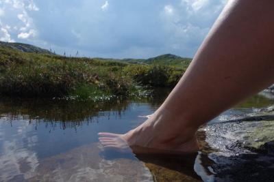 post-9055-0-62183800-1406460568_thumb.jp