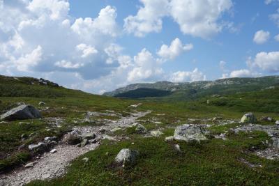 post-9055-0-93000700-1406460557_thumb.jp