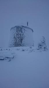 post-10401-0-11295700-1436440350_thumb.j