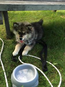 post-10401-0-32228900-1436446205_thumb.j