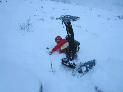 post-10401-0-35596900-1436440348_thumb.j