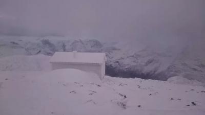 post-10401-0-36423700-1436440351_thumb.j