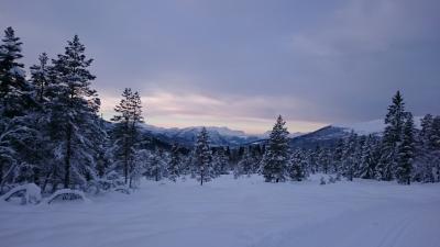 post-10401-0-69657200-1436440121_thumb.j