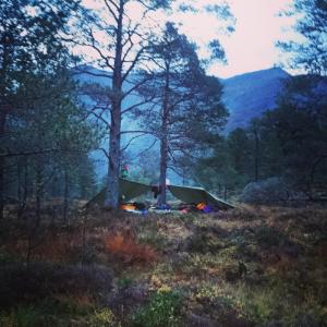 post-10401-0-91005900-1436439511_thumb.j