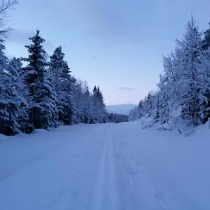 post-10401-0-97592100-1436444425_thumb.j