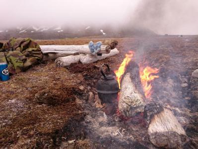 post-10858-0-10337100-1438274194_thumb.j