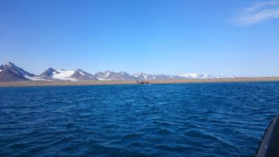 post-10858-0-36540800-1438274282_thumb.j