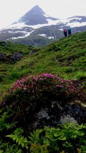 post-10858-0-38143600-1438273947_thumb.j