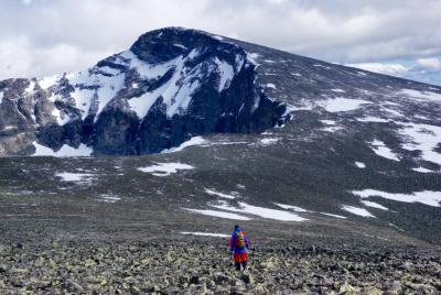 post-11141-0-61332800-1437579121_thumb.j