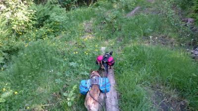 post-12030-0-10283100-1436867914_thumb.j