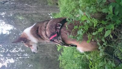 post-12030-0-65869700-1436867983_thumb.j