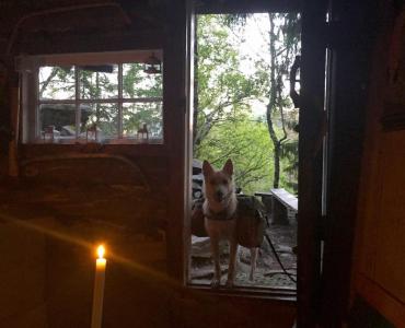 post-13572-0-04743800-1436199137_thumb.j