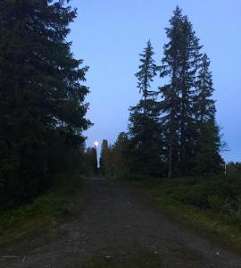 post-13572-0-77648800-1436199148_thumb.j