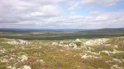 post-14911-0-76461700-1436210532_thumb.j