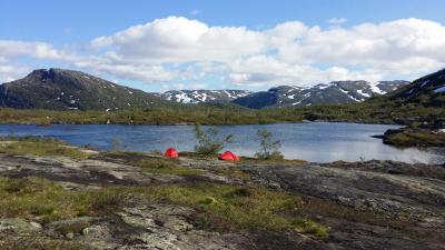 post-15265-0-41803500-1437316871_thumb.j