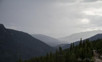 post-15860-0-39971400-1438282364_thumb.j