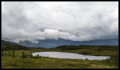 post-15860-0-45250900-1438281403_thumb.j