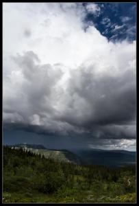 post-15860-0-56465500-1438281555_thumb.j