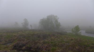 post-16581-0-06192000-1437660048_thumb.j