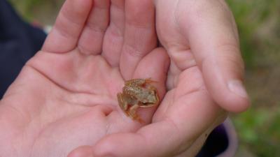 post-16581-0-14517600-1437659722_thumb.j