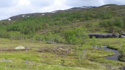 post-16581-0-31725400-1437659922_thumb.j