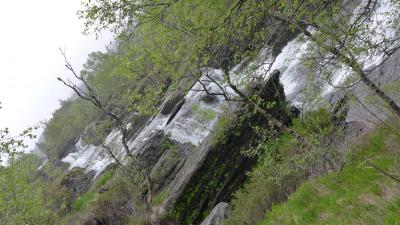 post-16581-0-55954100-1437660149_thumb.j