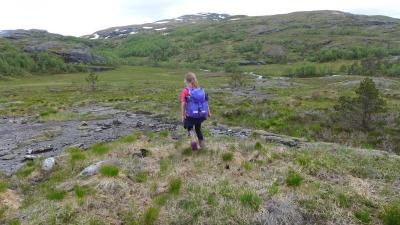 post-16581-0-90134100-1437659865_thumb.j