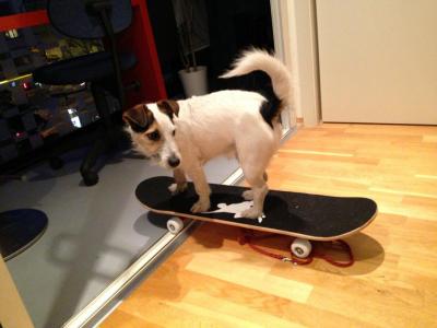 post-17643-0-05642600-1436449457_thumb.j