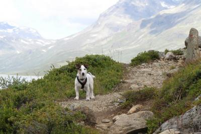 post-17643-0-35324700-1436449715_thumb.j