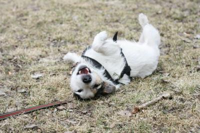 post-17643-0-96374200-1436449400_thumb.j