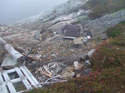 post-17903-0-24860500-1437645589_thumb.j