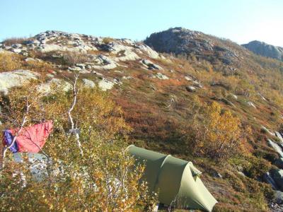 post-17903-0-65580000-1437645621_thumb.j