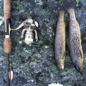 post-3450-0-60643600-1435778995_thumb.jp