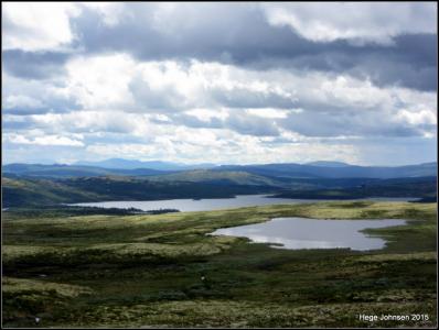 post-4444-0-25176600-1437329664_thumb.jp