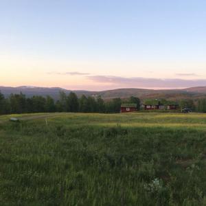 post-4444-0-33369600-1436697435_thumb.jp