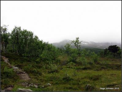 post-4444-0-95659500-1438277130_thumb.jp