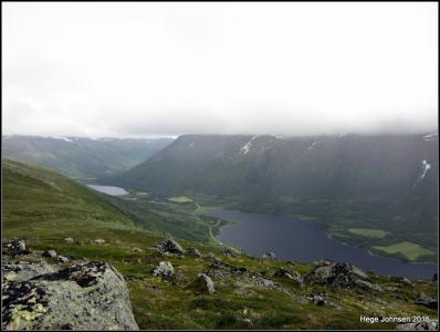 post-4444-0-97321500-1438368020_thumb.jp