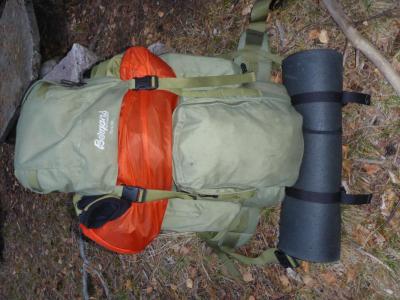 post-6295-0-12299100-1437256174_thumb.jp